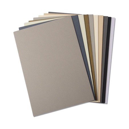 Cartulinas tonos neutrales (60uds)