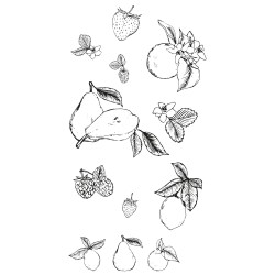 Juego de sellos transparentes Botanical Fruit
